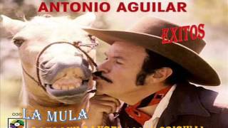 antonio aguilar  caminito de rieles (dj frank rangel)