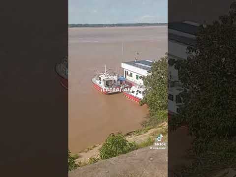 #Amazonas #Itacoatiara #@irisdoAmazonas  🐾🐆