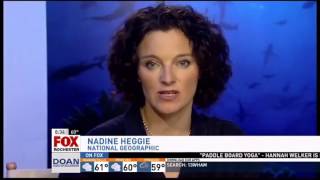 Actor Scott Eastwood talking about his love for the oceans video