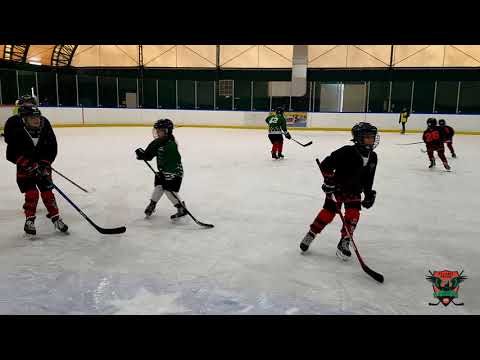 Alcsíki Sasok U10 vs Vsk Udvarhely U10