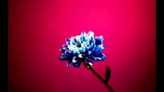 José González - Killing For Love (Beatfanatic Remix) (24-Bit Audio)