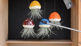 Living Air Plant Jellyfish Planter | Handmade Pottery
