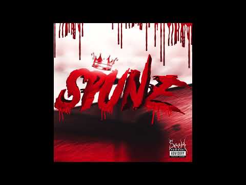 Srex x Samir - SPUNE (Audio)