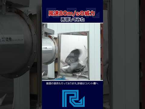 【危険】風速80m/sの威力再現してみた【台風・強風】実験動画　#台風 #強風 #暴風 #実験 #突風
