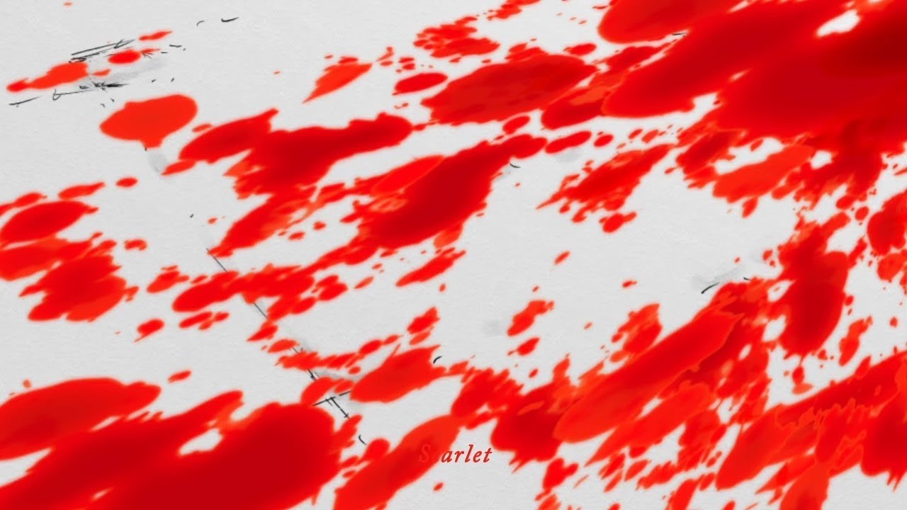 【東方二次創作PV】「ネガポジ」【Liz Triangle】