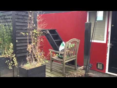 Houseboat 45ft with London mooring  - Boatshed - Boat Ref#270366