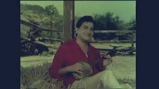 Download lagu Pyar Ka Mausam Movie Song Tum Bin Jaoon Kahan Shashi Kapoor Asha Parekh Nirupa Roy Bharat Bhushan 19 mp3