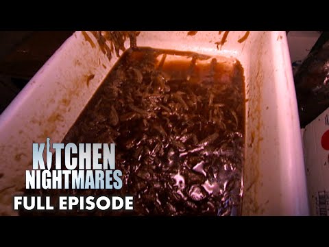 Shepherd's Pie  Makes Gordon THROW UP | Kitchen Nightmares Full Episode