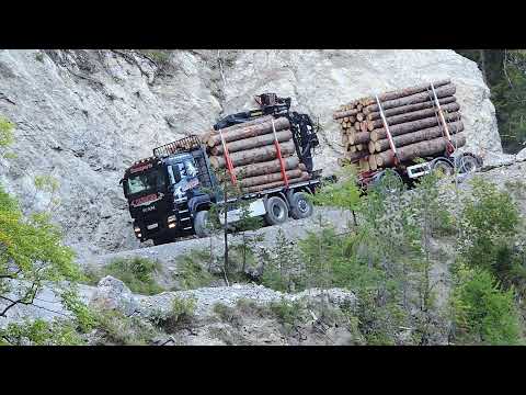 Holztransport im Tegestal /  Tarrenz