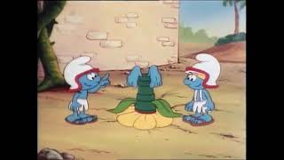 Brainy Feet