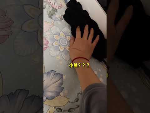遇到黑猫