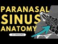 Paranasal Sinuses and Nasal Cavity | Radiology anatomy part 1 prep | CT imaging