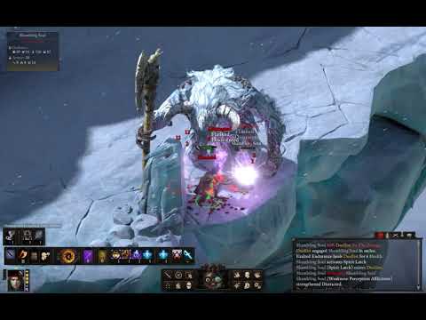 Pillars of Eternity II  Deadfire Solo Holy Slayer vs Beast of Winter PoTD Upscaled