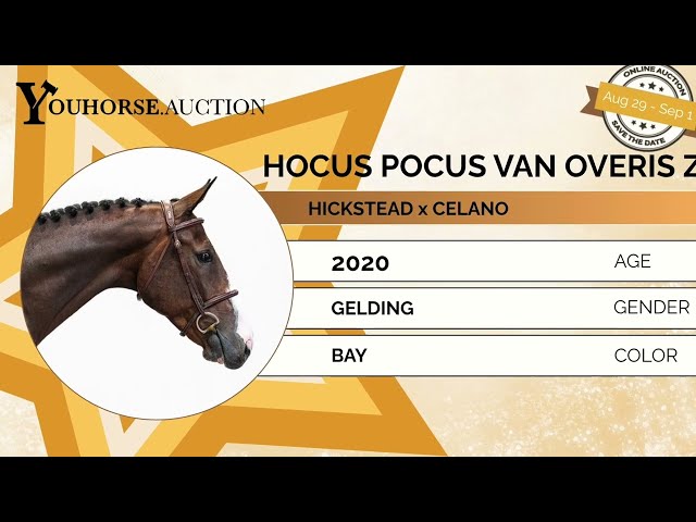 Hocus Pocus Van Overis Z