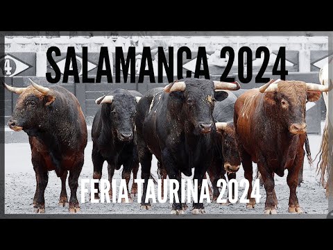 Feria de Salamanca 2024 🤘