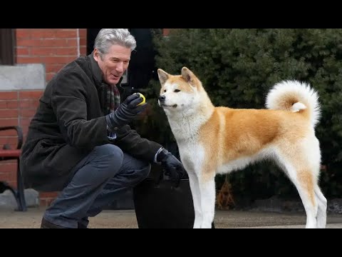 Hachi: Bir Köpeğin Hikâyesi 4K - TÜRKÇE DUBLAJ REKLAMSIZ FİLM İZLE