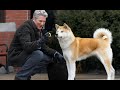Hachi Bir Köpeğin Hikâyesi 4K TÜRKÇE DUBLAJ REKLAMSIZ FİLM İZLE