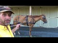 Single Horse Hitching Sequence
