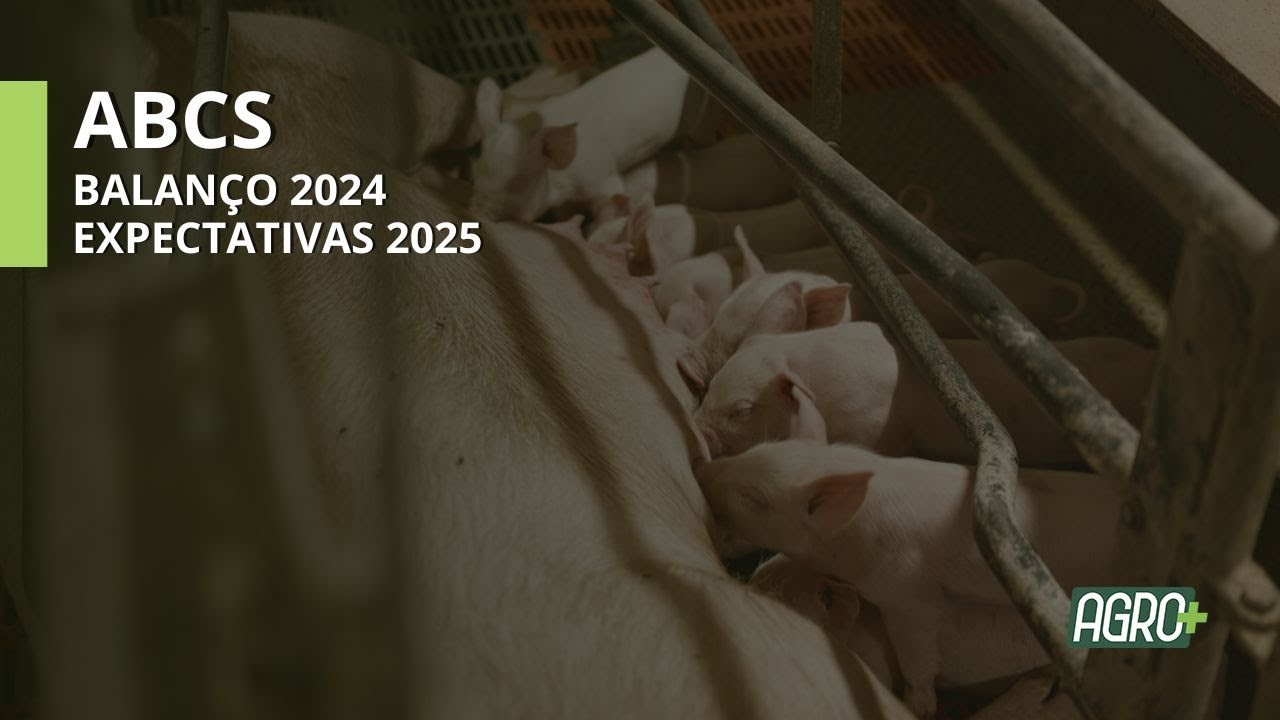 ABCS: Balanço para 2024 e Expectativas para 2025