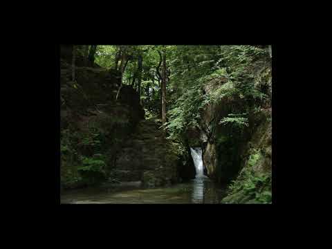 [FREE] A$AP ROCKY X CLAMS CASINO X $UICIDEBOY$ X LIL PEEP TYPE BEAT