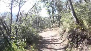 preview picture of video 'Flying Dog MNT Bike 6-24-12.wmv'
