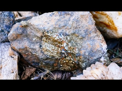 Encontramos mina de oro en el cerro mientras buscábamos gemas.