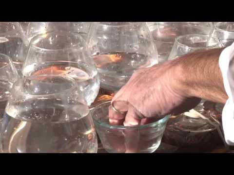 Glass harpist creates music with nontraditional instruments | Cronkite News