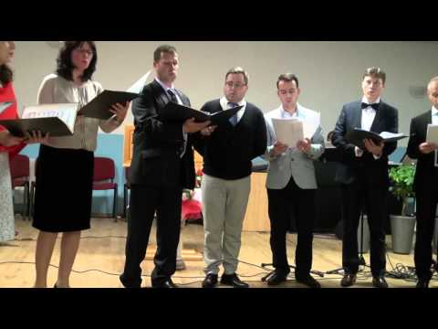 Akord Media - Cand se lasa umbra serii