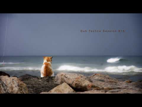 Dub Techno Session #15
