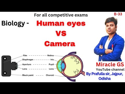 human eye vs camera