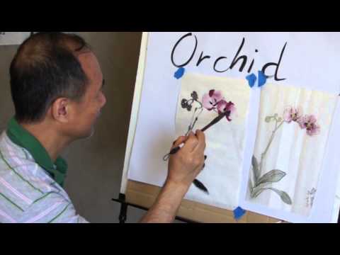 comment traiter orchidée