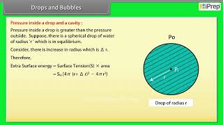 Drops and Bubbles | Mechanical Properties of Fluids | Physics | Class 11th | iPrep
