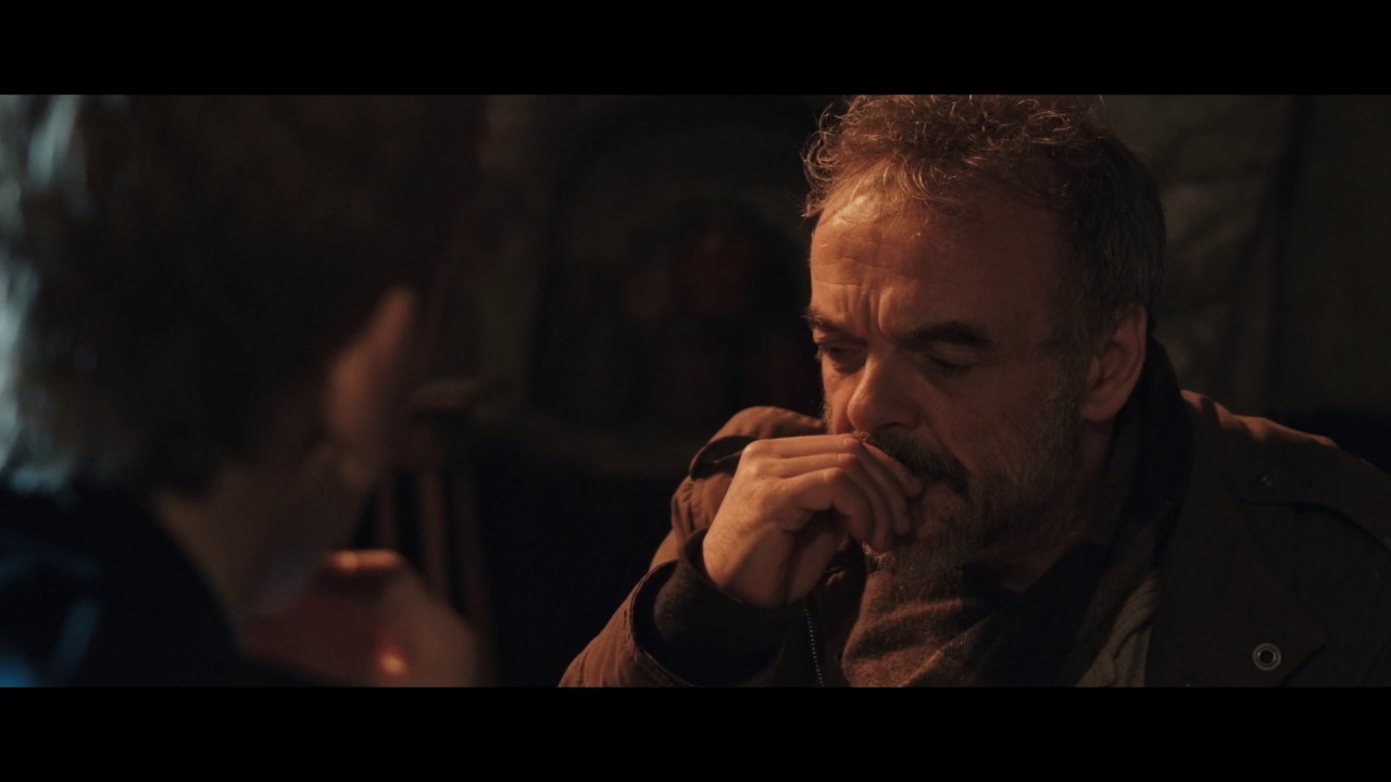 The Fox trailer International