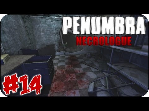 Let´s Play Penumbra Necrologue | PART 14 | Ein ungewolltes Opfer [German/HD] + FACECAM