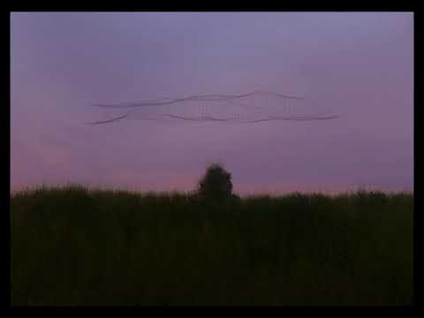 Video thumbnail for The Sky Sings Its Chorus (For Us Alone) [Pt .1]