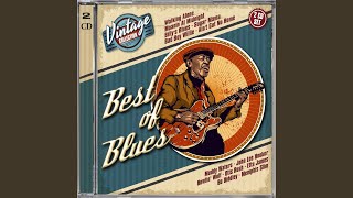 I'm Your Hoochie Coochie Man video