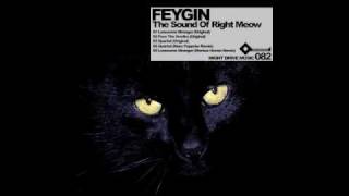 Feygin - Lonesome Stranger (Original) Night Drive Music