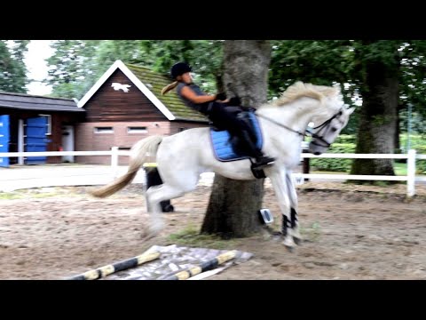 Gefährliche Bodenarbeit - BarkleyTeil 2 der Pferde Doku - Wallach lässt sich nicht mehr beherrschen