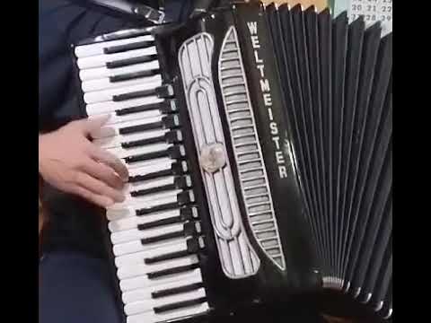 Top German Made Accordion Weltmeister Supita 120 bass - DOUBLE TONE CHAMBER - Cassotto - Video image 26