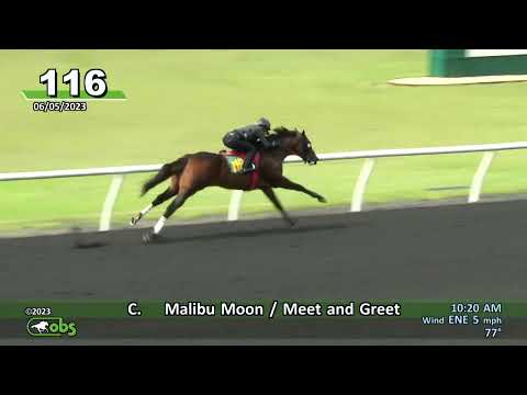 VRP's New 2 Yr-Old Malibu Moon Colt  Breezing In 10 Flat @ June 2023 OBS 2 Yr-Olds Sale