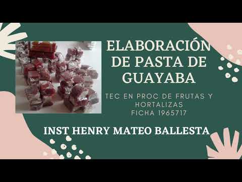 ELABORACION DE PASTA DE GUAYABA