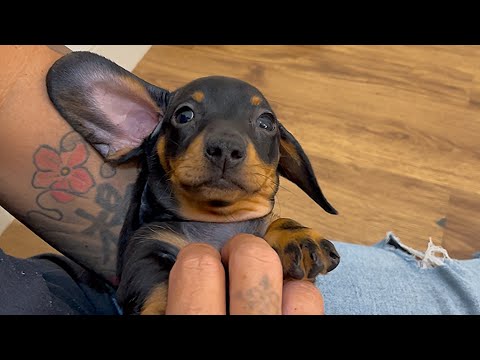 YouTube 썸네일