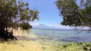 preview picture of video 'Menjangan Island'