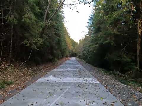 candriu la Dorna Candrenilor