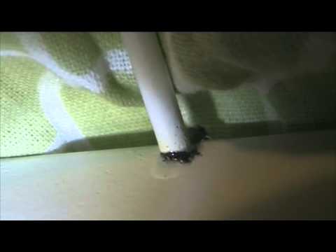 nukkumaan meno aika jo