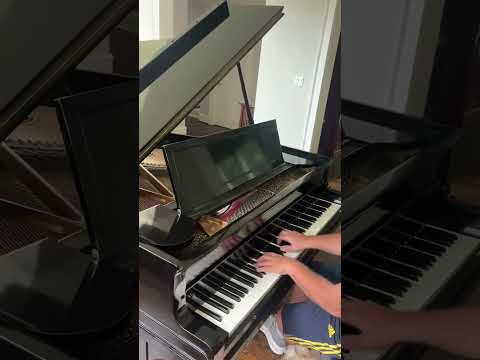 Golden-Era Resonance: Stunning Baldwin Grand image 7