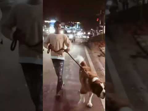 Please come back Srikanth Sunter Bhai