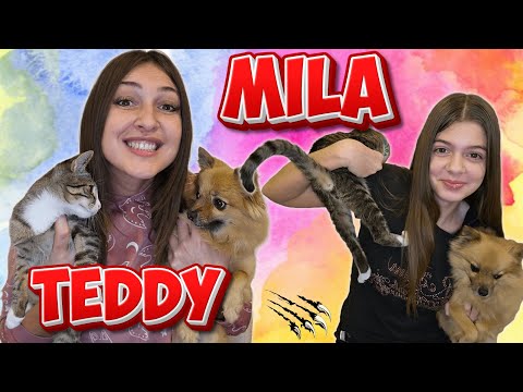 DA LI VIŠE VOLIMO MILU ILI TEDDI-A?