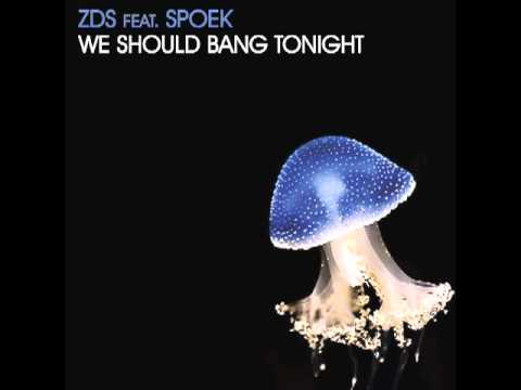 DFEP17 - ZDS feat. SPOEK - We Should Bang Tonight E.p.