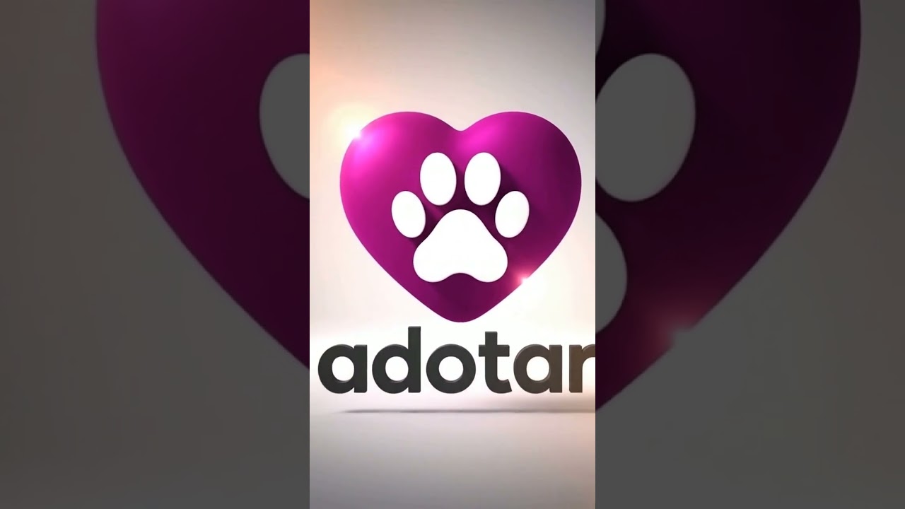 Gato raça SRD-ViraLata idade 2 a 6 meses nome Luz